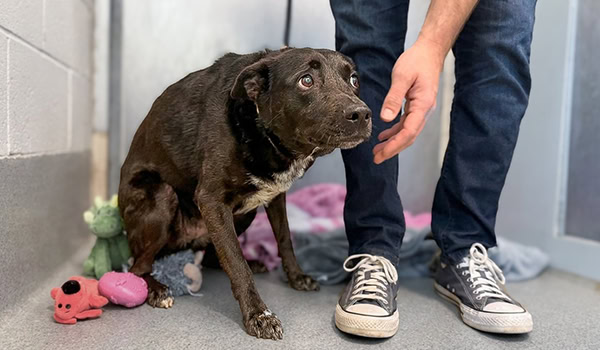 Rocky Kanaka: She Was Too Scared to Move...