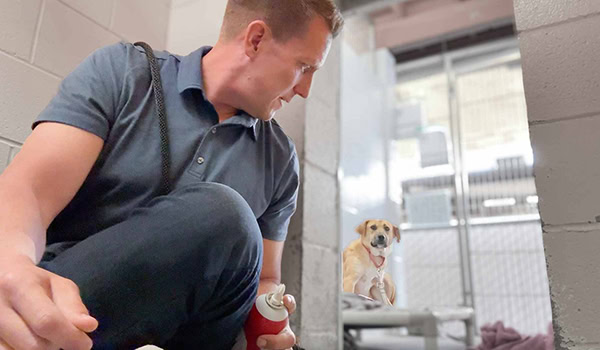 Rocky Kanaka: Fearful Dog