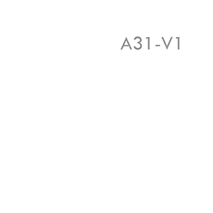 EVE A31-V1 Battery Cell Datasheet