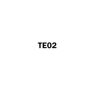 Oridget TE02 Digital Timer User's Manual