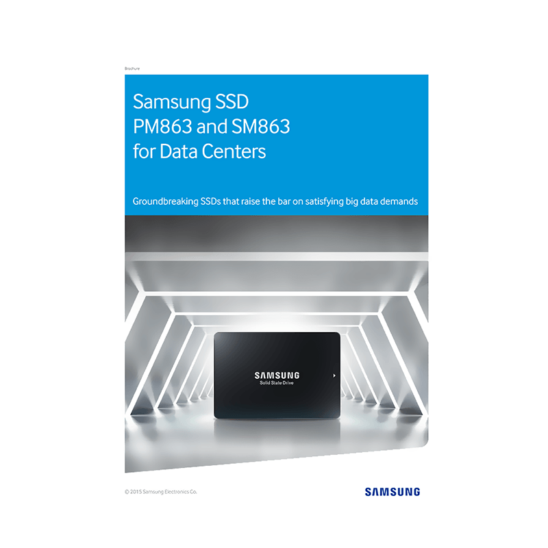 Samsung SSD SM863 120GB SATA MZ-7KM120Z Data Sheet