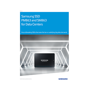 Samsung SSD SM863 480GB SATA MZ-7KM480Z Data Sheet
